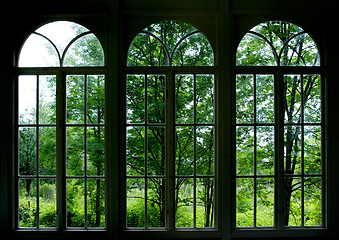 Image showing Garden Window