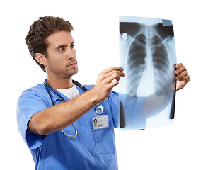 Image showing Doctor, xray analysis and radiology results in studio for healthcare research, assessment or solution. Professional radiologist or expert with medical exam for anatomy and bone on a white background