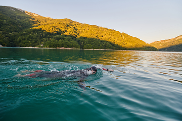 Image showing Triathlon athlete swimming on lake in sunrise wearing wetsuit