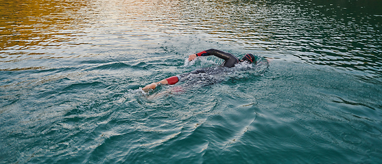 Image showing Triathlon athlete swimming on lake in sunrise wearing wetsuit