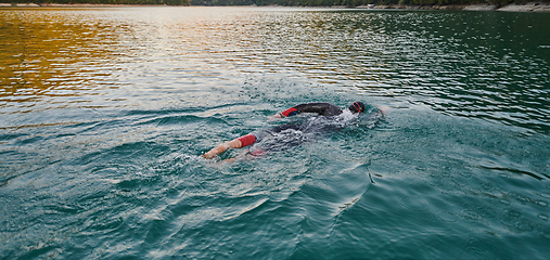 Image showing Triathlon athlete swimming on lake in sunrise wearing wetsuit