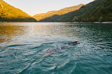 Image showing Triathlon athlete swimming on lake in sunrise wearing wetsuit