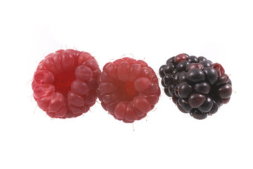 Image showing raspberry