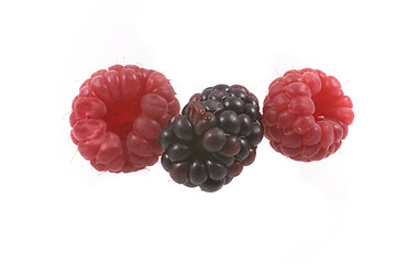 Image showing raspberry