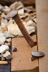 Image showing Railroad Spike