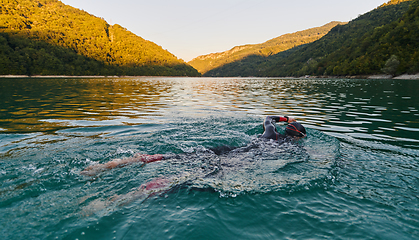 Image showing Triathlon athlete swimming on lake in sunrise wearing wetsuit