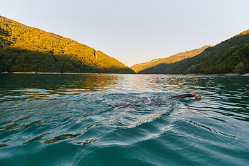 Image showing Triathlon athlete swimming on lake in sunrise wearing wetsuit