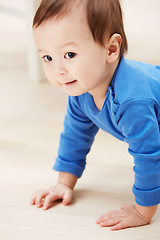 Image showing Cute, crawling and smile with baby on floor for child development, learning and youth. Young, curious and adorable with infant kid on ground of family home for growth, progress and first steps