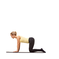 Image showing Woman, fitness and mat in studio for stretching, pilates or workout for healthy body, wellness or core muscle. Person, exercise or yoga on floor for abdomen health on mockup space or white background