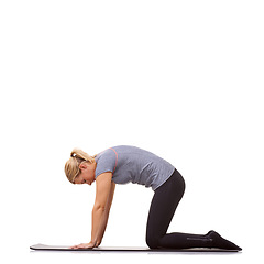 Image showing Woman, yoga or cat pose for fitness, workout or stretching body in studio on mockup white background. Profile, healthy lady or bend back for strong core, spine extension or flexible exercise on floor