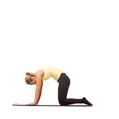 Image showing Woman, yoga and cat pose in studio for fitness, body workout or stretching exercise on mockup white background. Profile, healthy lady and bend back for strong core, spine extension or training on mat