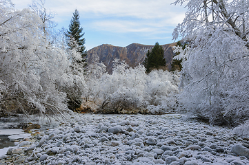 Image showing Frost-Covered Landscape With River and Mountains on a Winter Mor