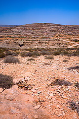 Image showing Dry Soil