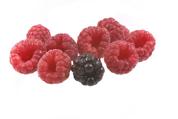 Image showing raspberry