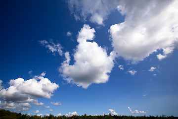 Image showing Cloud Background