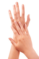 Image showing Woman, hands and french manicure for nails, polish and cosmetic care, skincare and beauty. White background, wellness and treatment for hygiene, closeup and fingers for arm, studio backdrop and clean