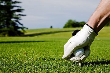 Image showing Golf Tee 