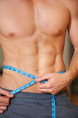 Image showing Man, measuring tape and abdomen muscle in closeup for growth development or check results in gym. Person, bodybuilder or review progress in training, strong or stomach for wellness, health or fitness