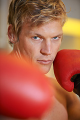 Image showing Man, fitness and portrait with punch in gym for power, exercise or fight for contest, wellness or health. Contact sports training, athlete person and fist in gloves, boxing and action in mma workout