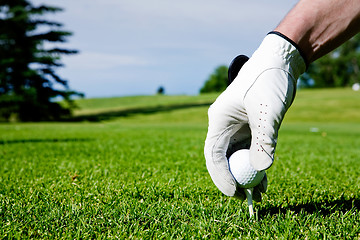 Image showing Golf Tee Hand
