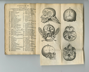 Image showing Medical book, antique and drawing of head bones, medicine research or anatomy information. Latin journal text, healthcare neuroscience and skull diagram sketch for vintage neurosurgery guide