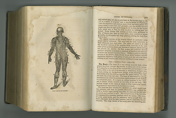 Image showing Old book, vintage and anatomy of human body in literature, manuscript or ancient scripture against a studio background. History novel, journal or figure for the study of muscle, medicine or organs