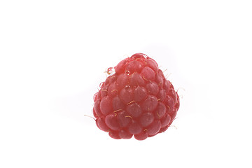 Image showing raspberry