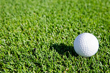 Image showing Golf Ball Background