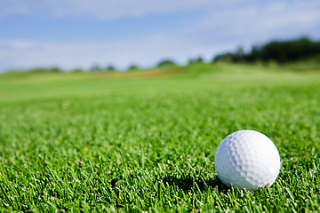 Image showing Golf Ball