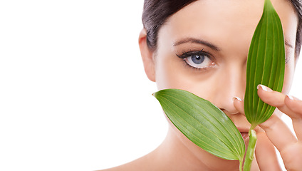 Image showing Woman, skincare and beauty with leaves in studio portrait, mockup space and growth by white background. Girl, model or person with sustainability, wellness and natural dermatology for facial change