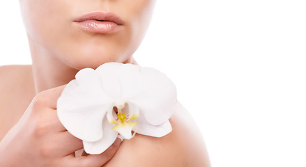 Image showing Woman, skincare and beauty with orchid in hand, studio and natural change for wellness by white background. Girl, model or person with flower, floral plant and growth with cosmetics, choice or health