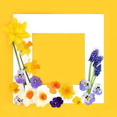 Image showing Easter and Spring Flower Abstract Background Frame