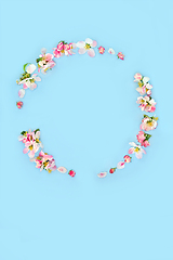 Image showing Spring Apple Blossom Flower Wreath Abstract
