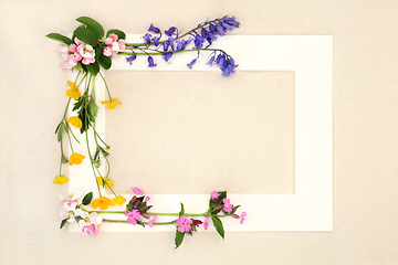 Image showing Abstract Springtime Beltane Wildflower Background Frame