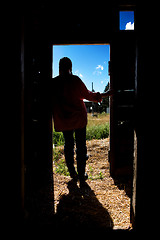 Image showing Farm Girl Silhouette