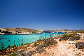 Image showing Gozo Blue Lagoon