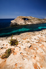 Image showing Gozo Blue Lagoon