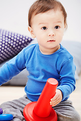 Image showing Baby, toys and playing on carpet in home or development, learning or education. Boy, kid and floor for game in lounge or puzzle progress or cognitive interest for coordination, support or sensory fun