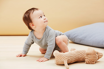 Image showing Baby, stuffed animal and playing in home for youth care, childhood development or game entertainment. Kid, toy teddy and learning crawling apartment for education progress, coordination or growth