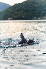 Image showing A professional triathlete trains with unwavering dedication for an upcoming competition at a lake, emanating a sense of athleticism and profound commitment to excellence.