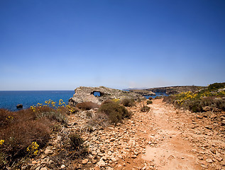 Image showing Path by Ocean