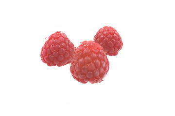 Image showing raspberry