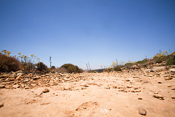 Image showing Dirt Path