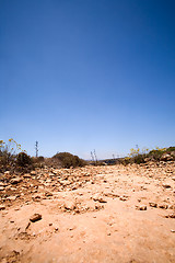 Image showing Old Dirt Road