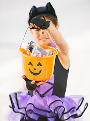 Image showing Child, halloween and candy bucket for holiday fun or kid development, cat costume on white background. Young girl, smile and sweets in pumpkin as trick or treat or dress up youth, play or celebration