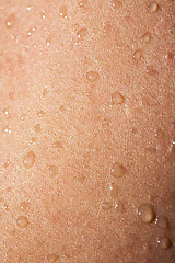 Image showing Water on Skin Detail