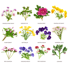 Image showing Edible British Flower and Wildflower Collection