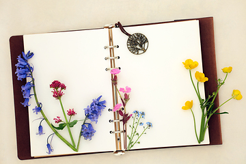 Image showing British Spring Wildflower Nature Study