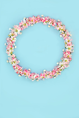 Image showing Easter Wreath with Apple Blossom Flowers and Mini Eggs