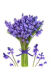 Image showing Bluebell Flower Posy for Spring